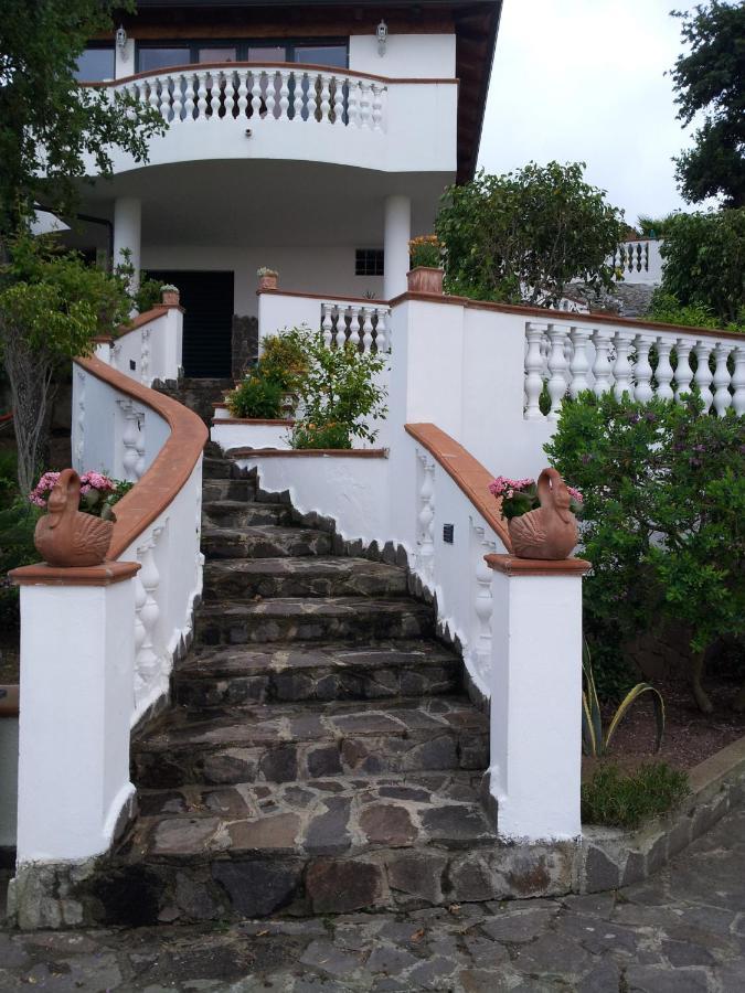 Villa Bella Vista サンタ・ドメーニカ エクステリア 写真